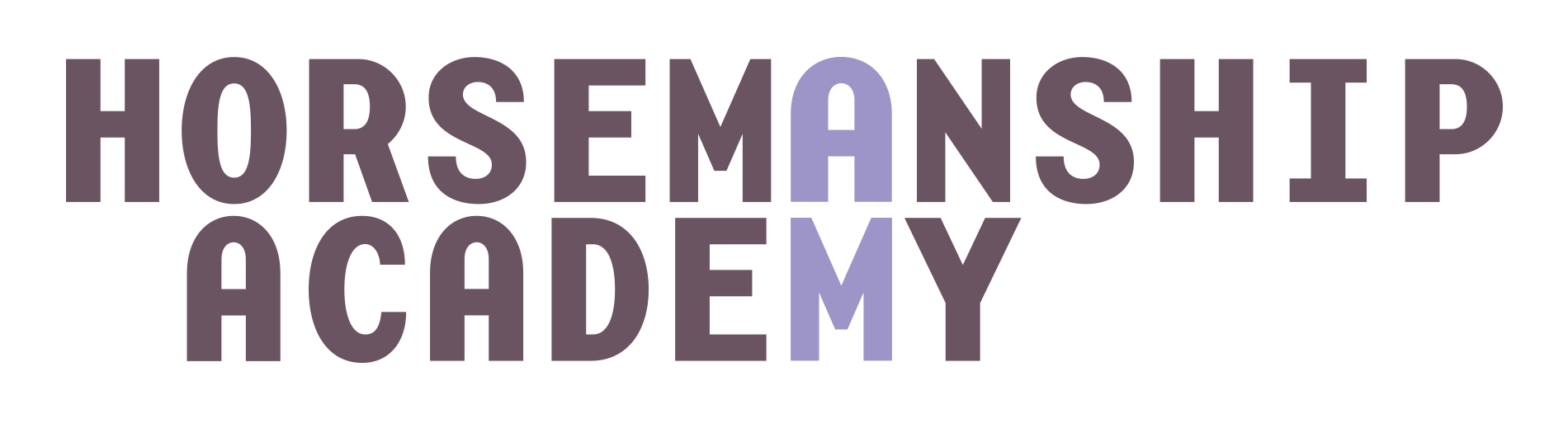 Horsemanship Academy